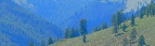 Mazama Areas