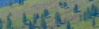 Winthrop Areas