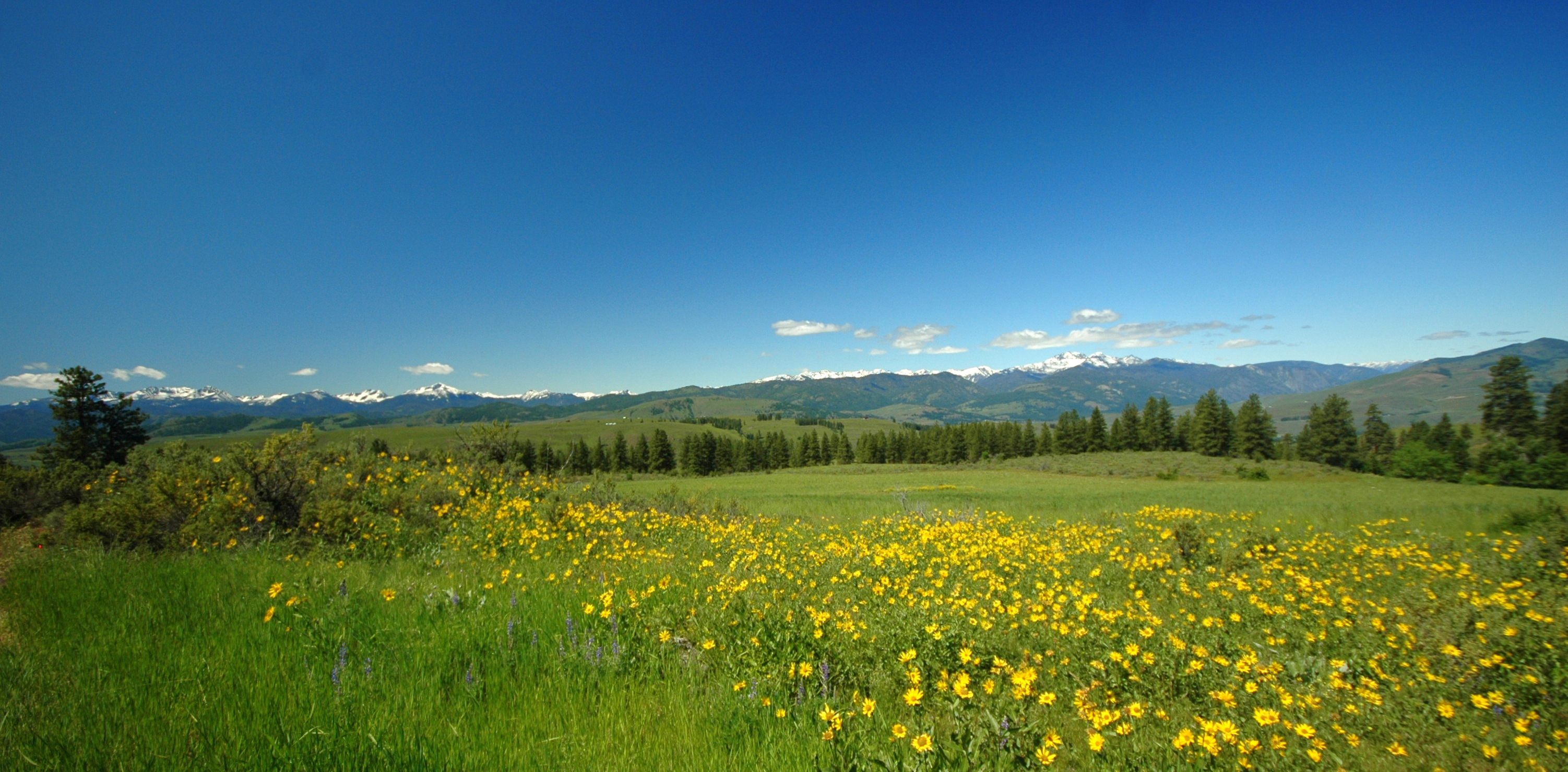Methow Valley Real EstateSearch Online for Homes in Methow Valley and