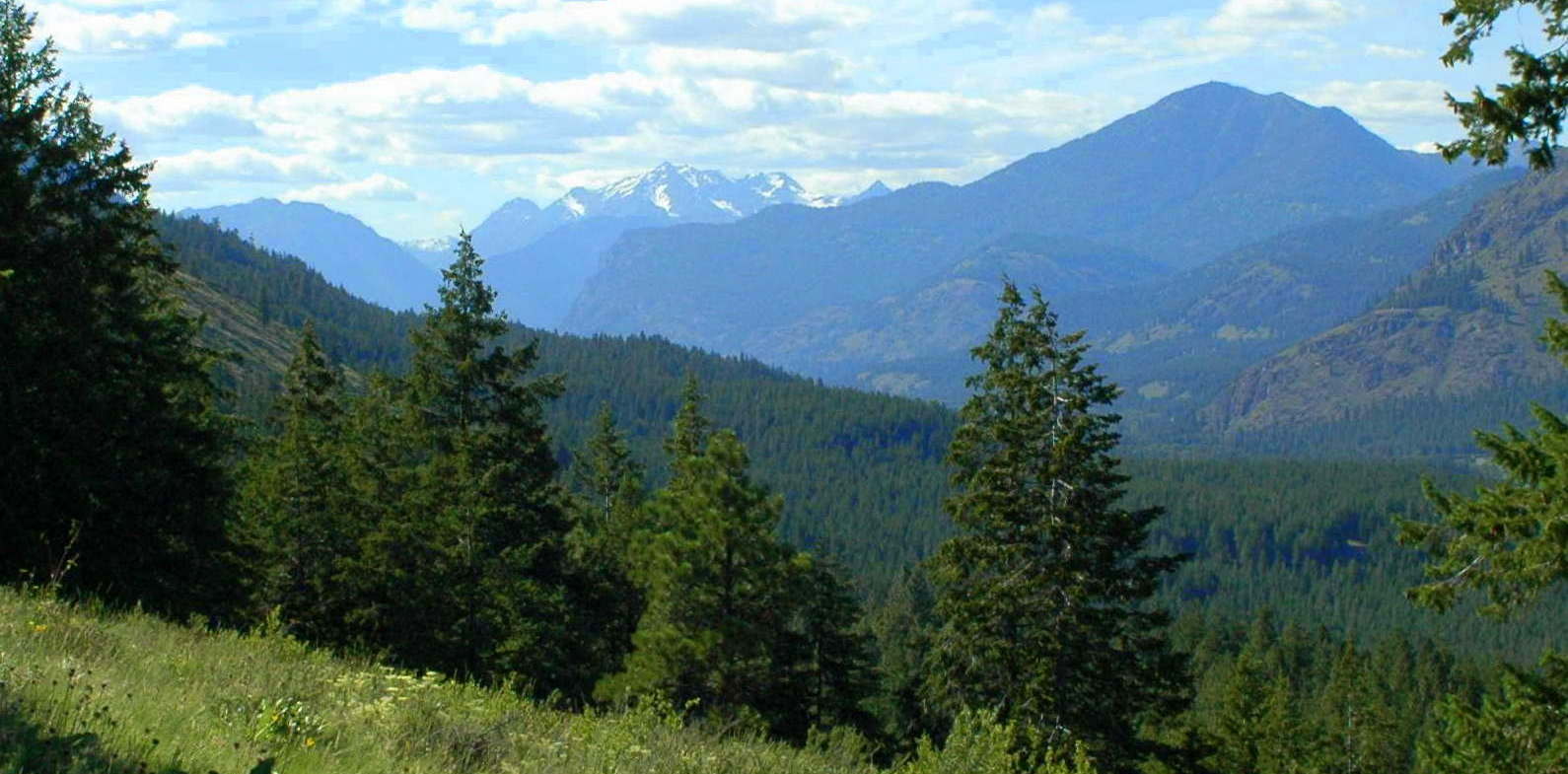 Methow Valley Real EstateSearch Online for Homes in Methow Valley and