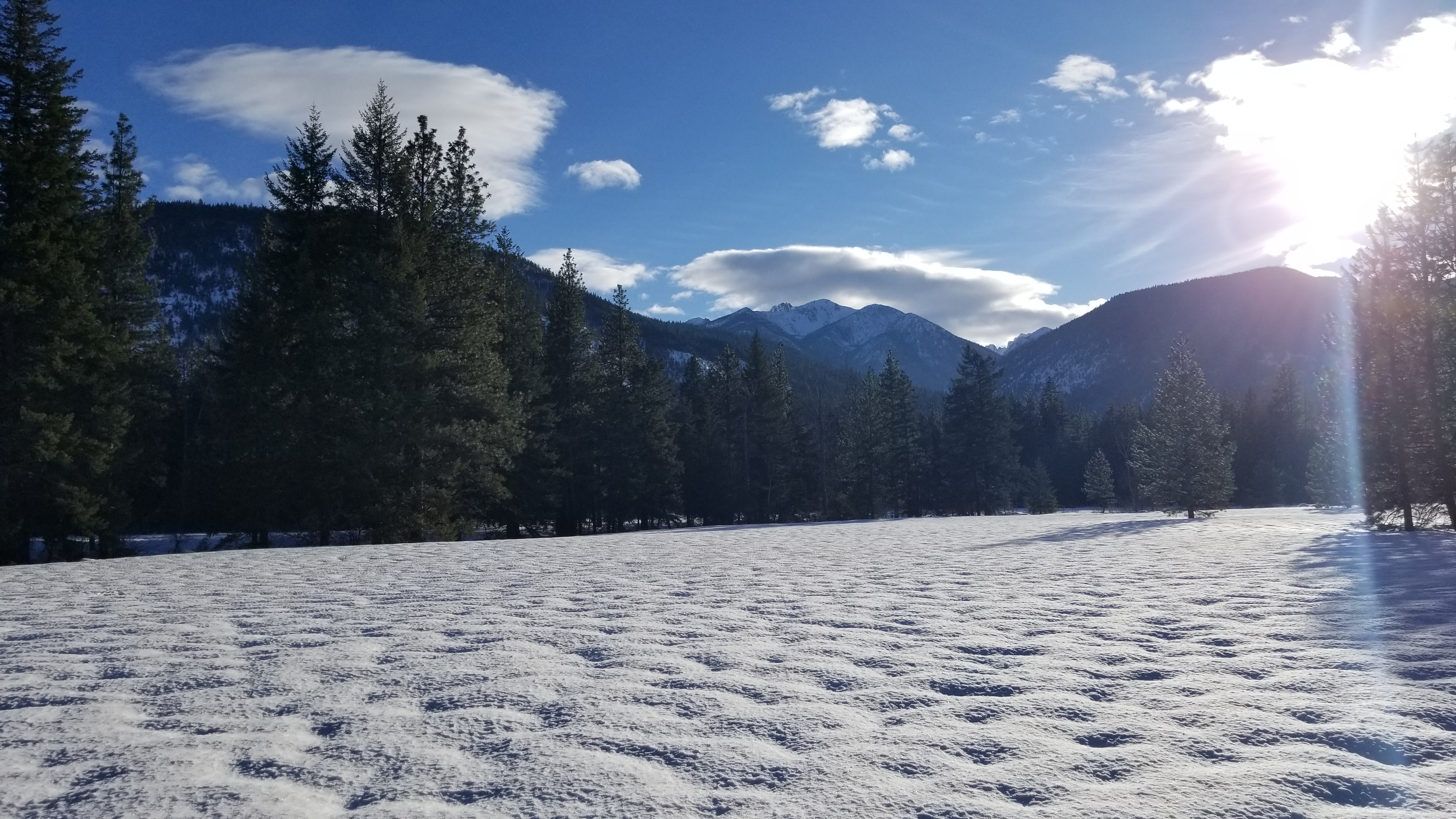 methow Valley sports trails february 2020
