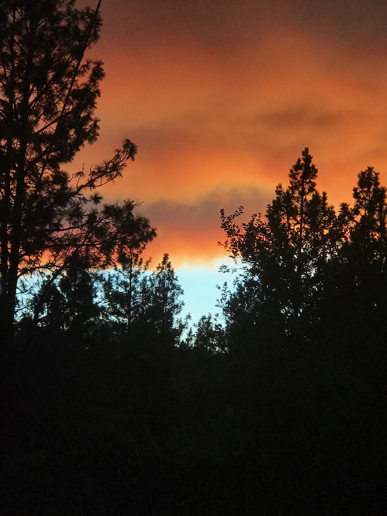 Methow Valley Wild Land Fires Cresent Mountain Fire